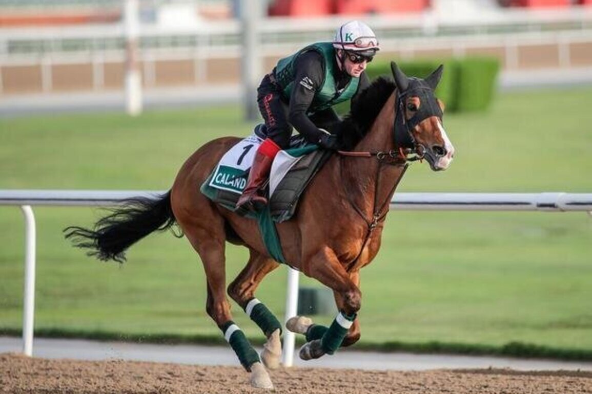 Dubai World Cup: Calandagan starts out on defence of its World's Best Racehorse crown in $6m Longines Dubai Sheema Classic