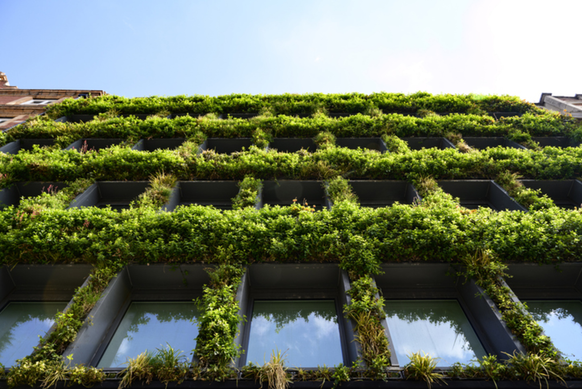 How Landsec is greening one of the UK's largest commercial property estates