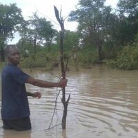 Storms force shutdown of key Angolan export route - media