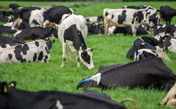 Rising input costs make milk price unsustainable