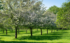 Growers given new regenerative farming framework