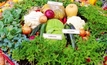 Tas ideas for fresh produce a national game-changer