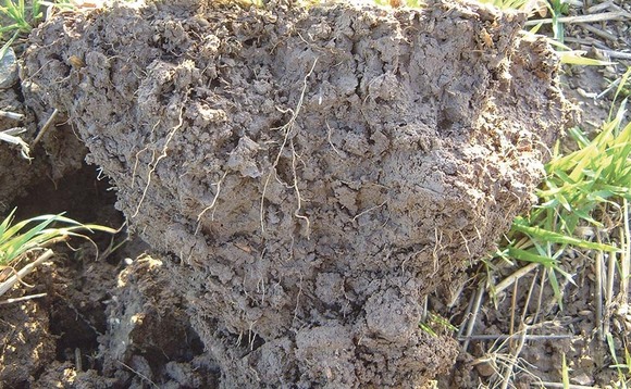 New soil health index finds over a third of arable soils in England and Wales could be degraded