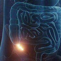 Why the appendix is much more important than we once thought