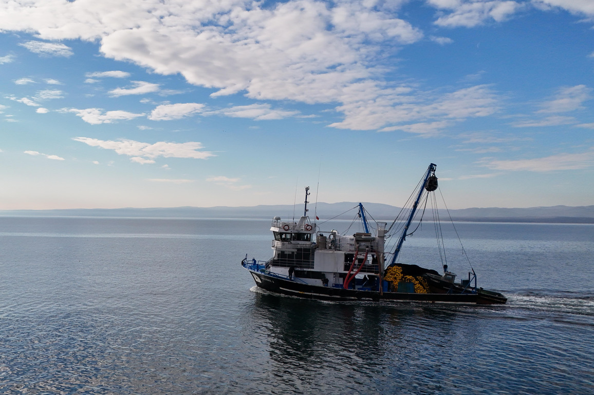 TRKIYE-IGNEADA-FISHING BOOM