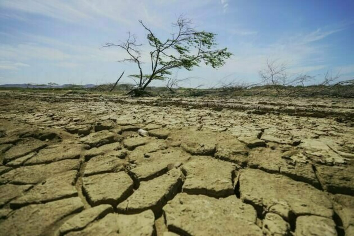 Droughts don't just dry up water - they drain livelihoods and weaken local economies