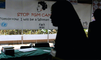 Fgm 703 422 350x210