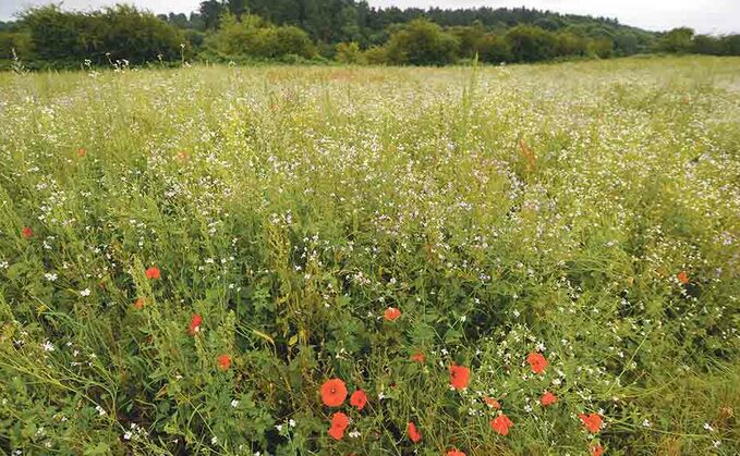 Farmers urged to apply for Countryside Stewardship