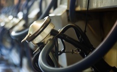 How dynamic milking assessments can improve udder health and parlour efficiency on dairy farms