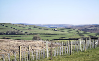 Defra's Capital Grants scheme now closed