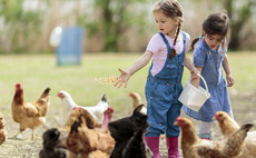 Get farming into schools: Children's futures at risk without food, farming and nature in the classroom