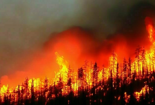 Why are people taking selfies in front of the LA wildfires?