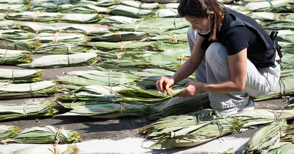 (AmazingAnhui) CHINA-ANHUI-XIUNING-BAMBOO LEAF-ZONGZI BUSINESS (CN)