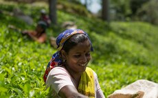 Fairtrade product sales hit record €8.5bn worldwide