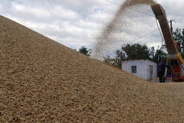 Russia is expecting bumper grain harvest, says Putin