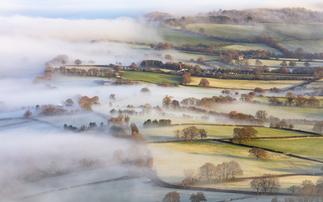 Welsh Government cuts back tree cover rule for green farming subsidy scheme