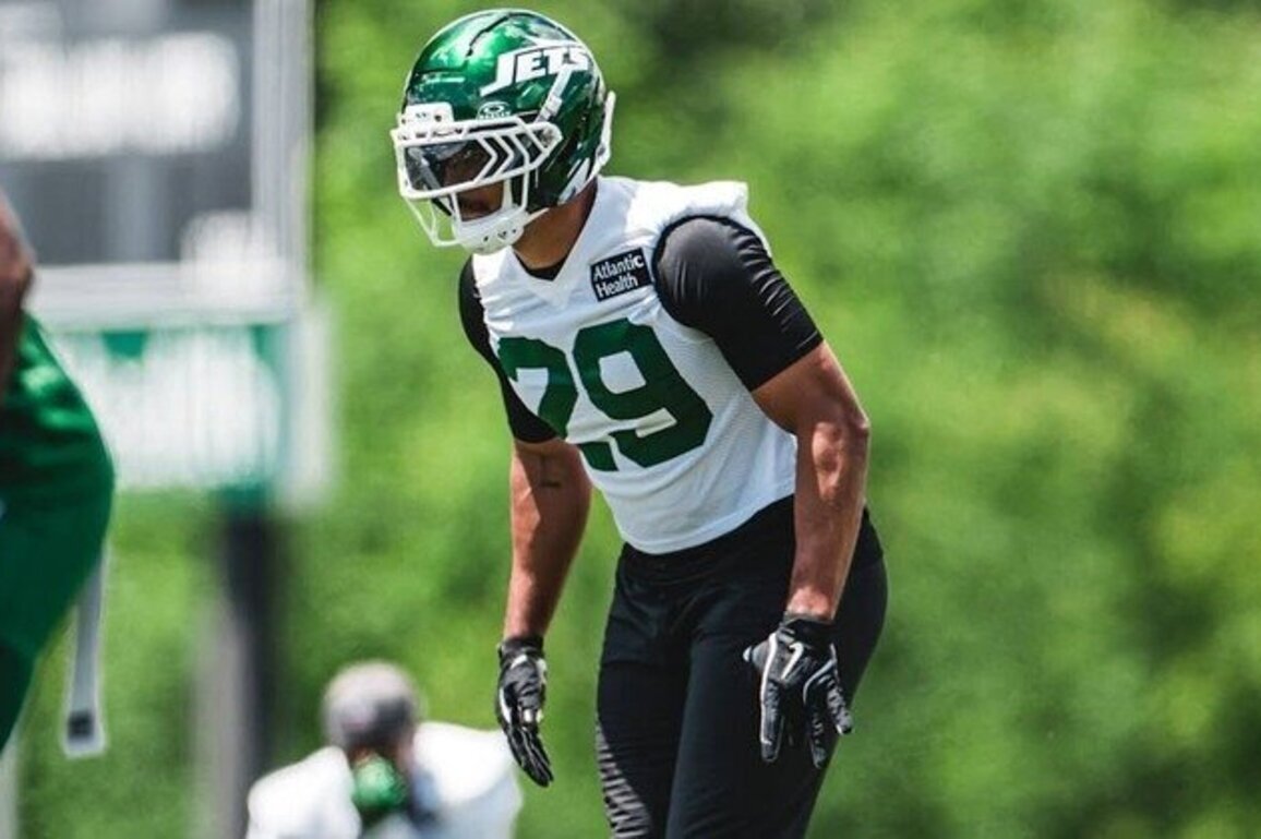 Jets Safety Minkah Fitzpatrick: 'I Like to Be a Chess Piece'
