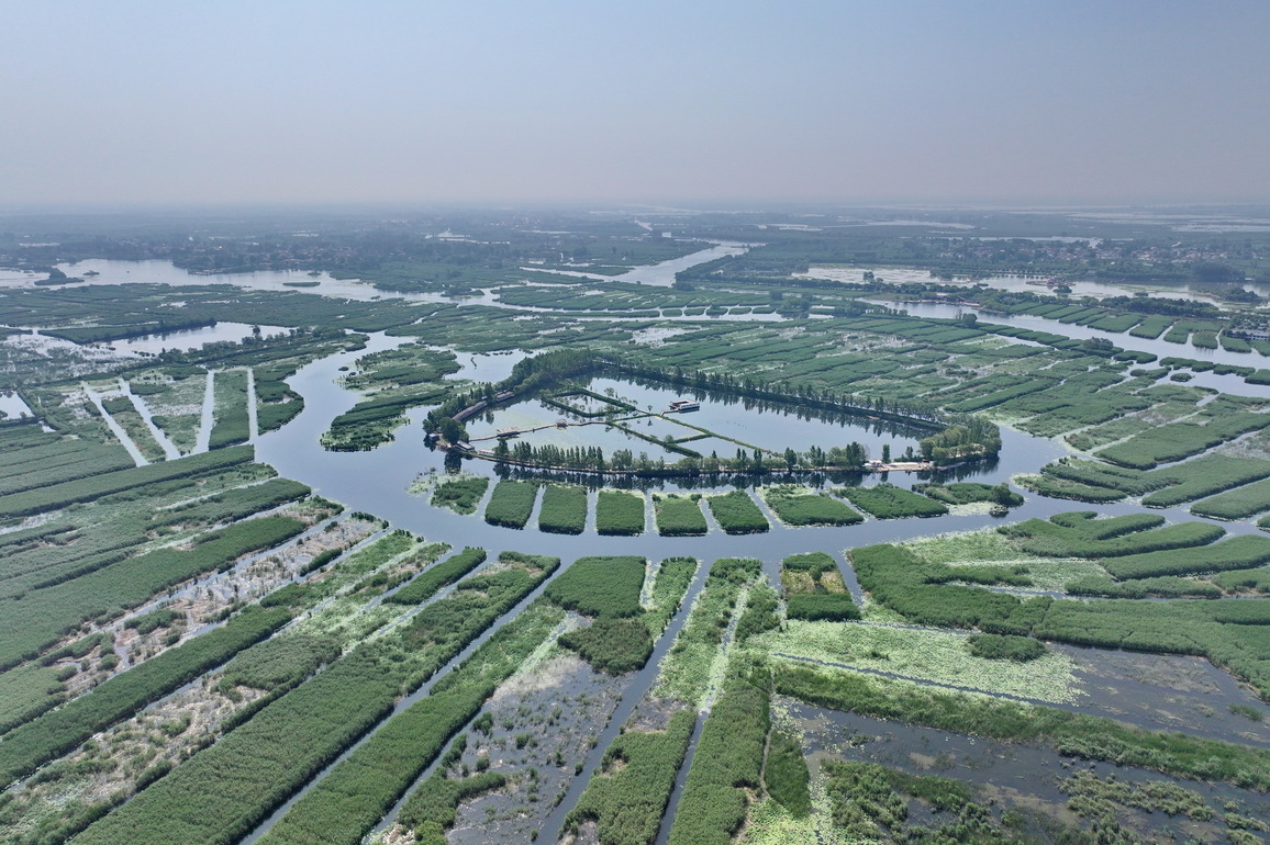 (EcoChina)CHINA-HEBEI-XIONGAN-BAIYANGDIAN LAKE-SUMMER (CN)