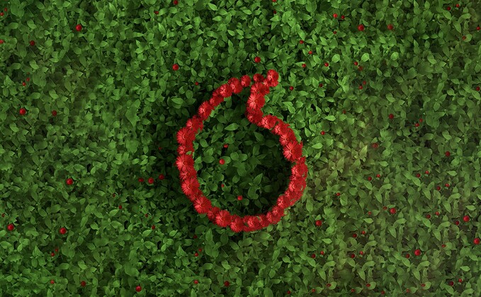 Credit: Vodafone Credit: Vodafone
