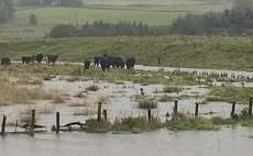 Scottish farmers expected to face 'severe' flooding and disruption from Storm Babet