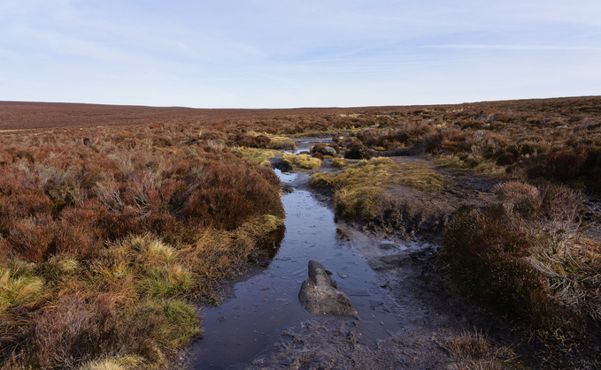 Defra has announced a new £50m fund for peat restoration