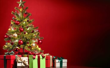 'Dreaming of a greener Christmas': Polls point to growing interest in environmentally-friendly festive season - Vimarsana News