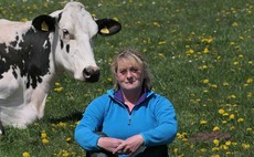 In your field: Rachel Coates - 'People are often a bigger problem than their dogs'