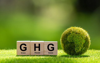 Greenhouse Gas Protocol appoints Boston Consulting Group's Tim Mohin as first CEO