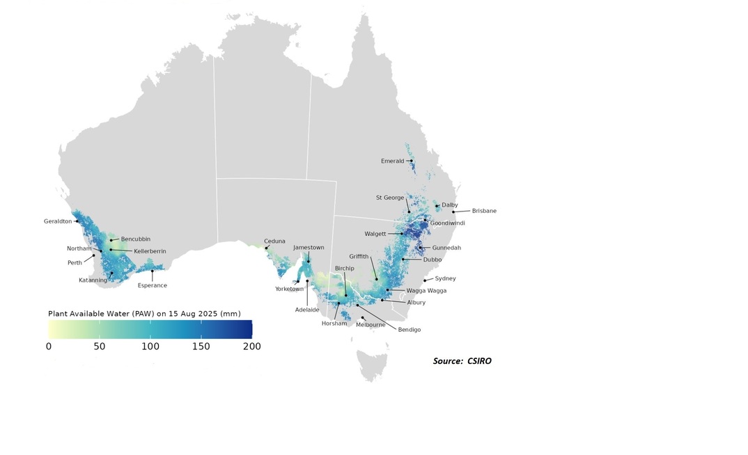 CSIRO's latest Wheatcast shows a mixed result for Plant Available soil Water (PAW) throughout the grain growing regions of Australia.
