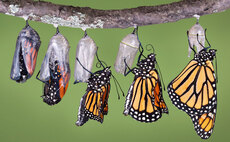 The evolution of investor relations