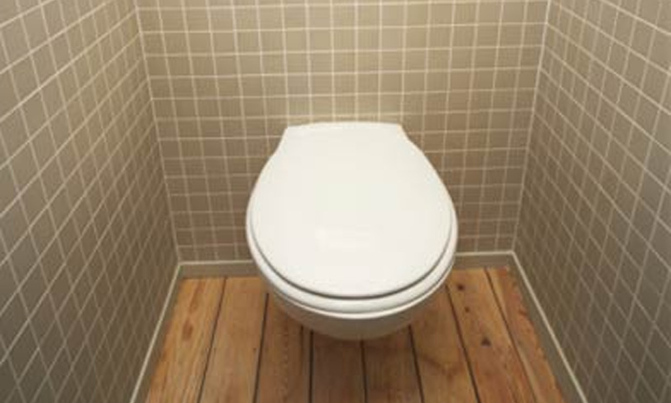 Hiding in toilets, Swedish burglar calls police for help Hiding in toilets, Swedish burglar calls police for help