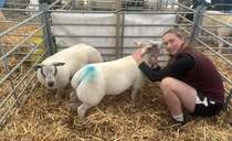 Urgent calls for information on suspected stolen lambs in West Yorkshire