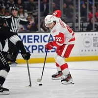 Red Wings, facing Ducks, shoot for Southern California sweep
