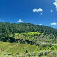 Madagascar : le marche de compensation carbone en pleine emergence