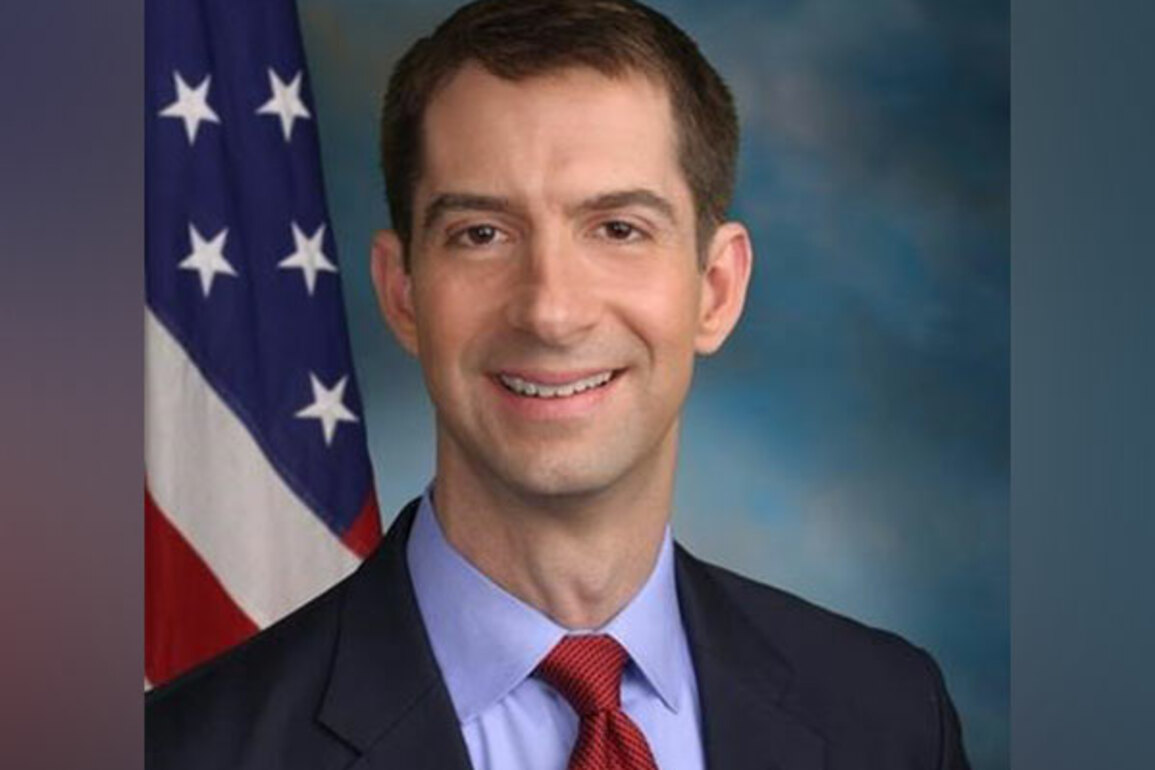 US Senator introduces legislation to prevent advanced chips falling into China's hands