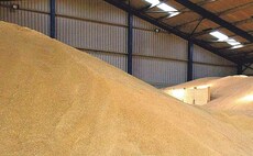 Short MRL implementation period for grain store insecticide causes concern