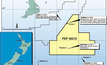 Oil seeps boost interest in NZ frontier basin


