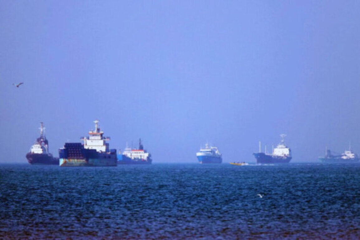 Sweden Open to NATO Role in Securing Strait of Hormuz Shipping Route