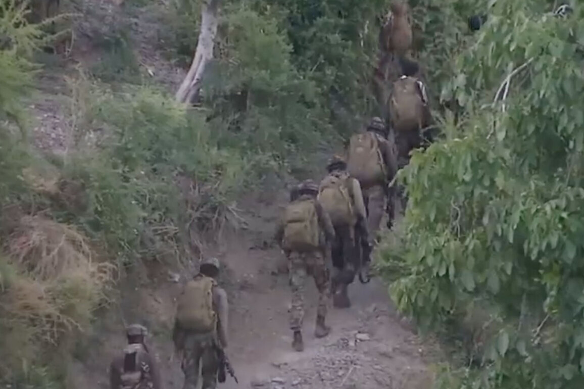 J-K: Heavy firing in Dorimal forest in Rajouri as 'Operation Sheruwali' enters crucial phase
