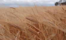 CBH breaks barley shipment record