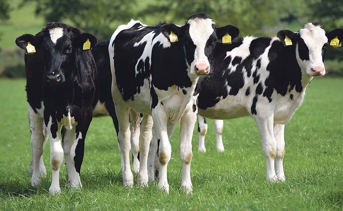 Dairy processors under pressure to raise prices