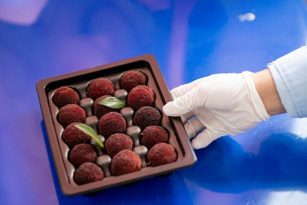 Waxberries from China wow German diners after 9,000 km journey