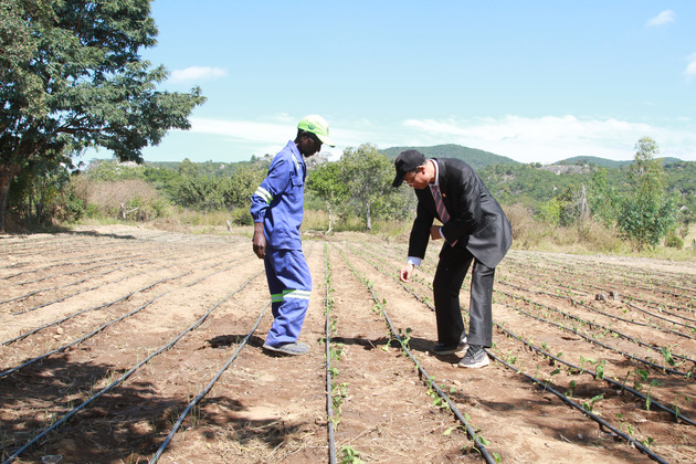 ZIMBABWE-MASHONALAND CENTRAL PROVINCE-CHINA-AIDED AGRICULTURAL DEMONSTRATION VILLAGE
