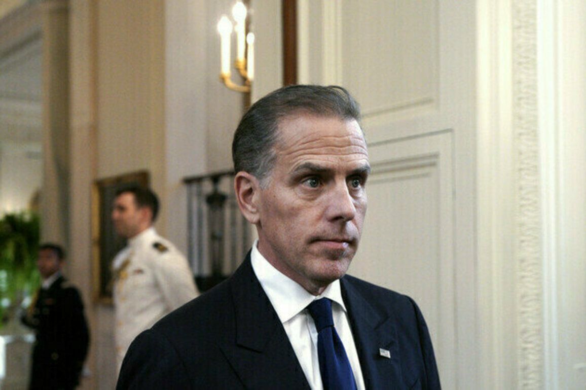 Hunter Biden asked Obama-era official to help Ukrainian company  NYT