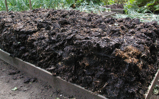 Can biological products cut costs without compromising crop yields?