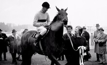 Connemara's proposed new name is taken from Arkle, the 1960s Irish race horse