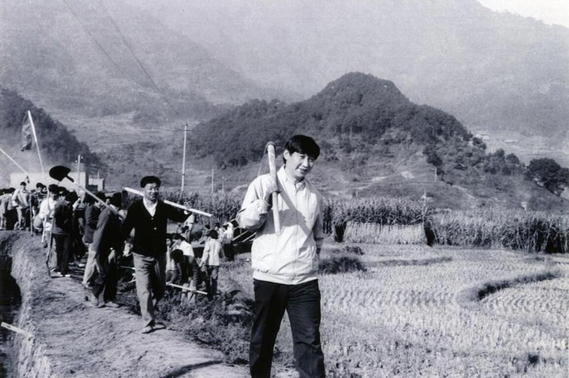 Xi's decades-long tea bond