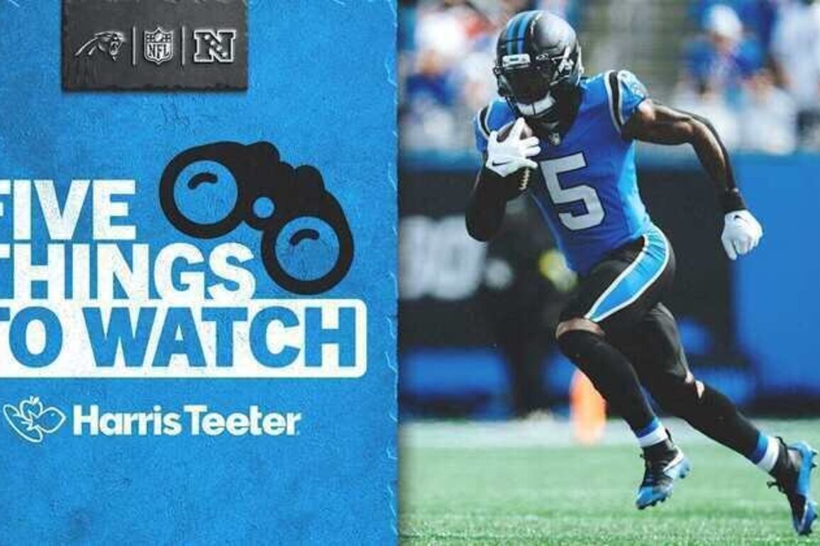 5 things to watch as Panthers prepare to take on the NFC's top team