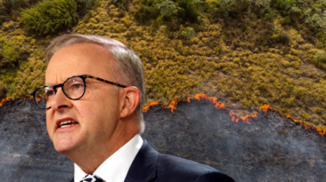 Australians back strong 2035 climate target