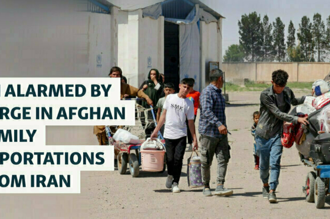 UN Alarmed By Surge In Deportations Of Afghan Families From Iran